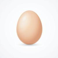 realistisch gedetailleerd 3d geheel licht bruin kip ei. vector