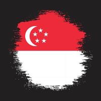 kleurrijk Singapore grunge vlag vector