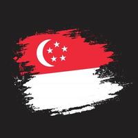 professioneel Singapore structuur vlag vector