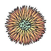 gemakkelijk bloem clip art. hand- getrokken bloemen tekening. voor afdrukken, web, ontwerp, decor, logo vector