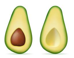 groene avocado vers rijp fruit set vector