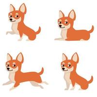 chihuahua in verschillende poses vector