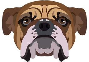 bulldog gezicht. vector portret van een hond hoofd geïsoleerd Aan wit achtergrond.