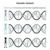 genetisch variant leerzaam wetenschap vector illustratie grafisch