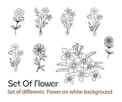 reeks van bloemen elementen, verschillend bloem linnen Aan wit achtergrond. bruiloft concept bloemen.bloemen poster, nodig uit. vector regelingen voor groet kaart of uitnodiging ontwerp