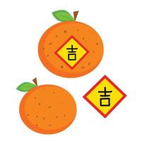 oranje gelukkig Chinese nieuw jaar fruit illustratie vector clip art