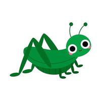 schattig sprinkhaan met groot ogen en wangen. Woud of tuin insect, kever voor kinderen. grappig kinderachtig karakters. natuur dier voor afdrukken, kleren, stickers, textiel, baby douche. vector