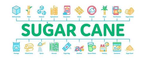 suiker riet minimaal infographic banier vector