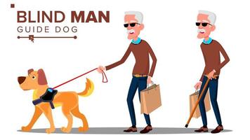 Blind oud Mens met donker bril, riet in hand- en gids hond vector. geïsoleerd tekenfilm illustratie vector