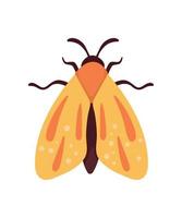 geel mot insect dier vector