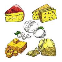 kaas zuivel reeks schetsen hand- getrokken vector