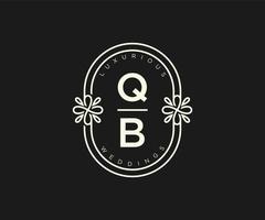 qb initialen brief bruiloft monogram logos sjabloon, hand- getrokken modern minimalistisch en bloemen Sjablonen voor uitnodiging kaarten, opslaan de datum, elegant identiteit. vector