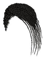 modieus Afrikaanse haar- cornrows vector