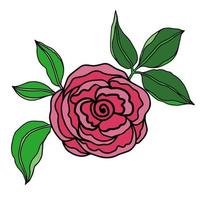 schattige roze bloem vector