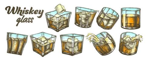 kleur verzameling klassiek Iers whisky glas reeks vector