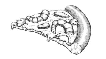 zeevruchten Italiaans plak pizza hand- getrokken vector