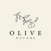 botanisch logo sjabloon hand- getrokken natuurlijk olijf- blad en fruit .kruiden, olijf- olie, schoonheidsmiddel of schoonheid. vector