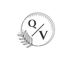 qv initialen brief bruiloft monogram logos sjabloon, hand- getrokken modern minimalistisch en bloemen Sjablonen voor uitnodiging kaarten, opslaan de datum, elegant identiteit. vector