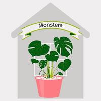 monstera in een bloem pot Aan de achtergrond van een huis met een venster. vector illustratie van binnen- fabriek voor huis of kantoor interieur decor. kamer bloem in vlak stijl.