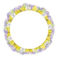 waterverf hand- getrokken cirkel krans met voorjaar bloemen, narcissen, krokus, sneeuwklokjes, bladeren. geïsoleerd Aan wit achtergrond. ontwerp voor uitnodigingen, bruiloft, groet kaarten, behang, afdrukken, textiel. vector