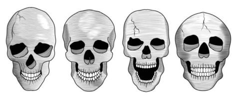 hand- getrokken anatomisch schedels vector stelt. verzameling van tekening skelet- menselijk schedels contour schaduw geïsoleerd Aan wit achtergrond. ontwerp illustratie voor afdrukken, decoratie, sticker, kleding stof, tatoeëren.