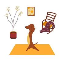 teckel praktijken yoga Aan yoga mat. vector tekenfilm puppy