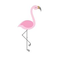 vector vlak flamingo geïsoleerd Aan wit achtergrond