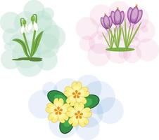 een reeks van drie voorjaar bloemen Aan zacht achtergronden vector