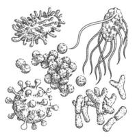 bacterie virus reeks schetsen hand- getrokken vector