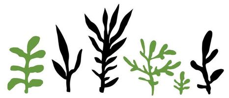gebladerte en gebladerte, zeewier of planten met twijgen vector
