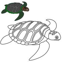 schildpad vector beeld voor kleur boek