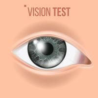 menselijk oog vector. zicht, gezichtsvermogen. lichaam zorg. realistisch detail visie illustratie vector