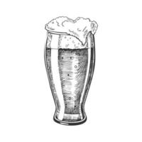 hand- getrokken glas met schuim bubbel bier vector