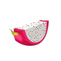 draak fruit plak tekenfilm vector illustratie