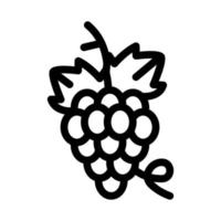bundel van druiven icoon vector schets illustratie