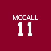 Mccall 11 t overhemd ontwerp, trui. vector