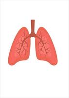 vector illustratie van longen. menselijk lichaam onderdelen. gasmasker