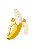 voor de helft geschild rijp banaan dichtbij omhoog smakelijk realistisch vector afbeelding.