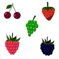 een reeks van frambozen, aardbeien, druiven, kersen, bramen. vector geïsoleerd Aan een wit achtergrond