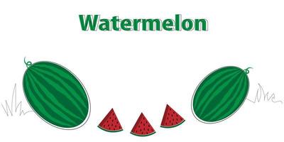 illustratie van watermeloen in wit achtergrond vector