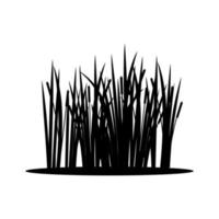 cattail icoon vector. riet illustratie teken. moeras symbool. gras logo. vector