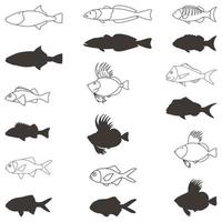 vrij vector verzameling van vis in divers types 3
