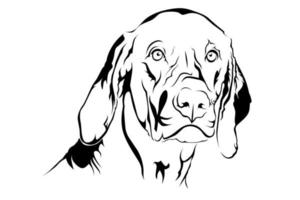 huisdier hond lijn kunst vector beeld
