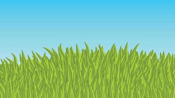 zonnig zomer dag Aan de weide met gras met blauw bewolkt lucht. sereen stemming, gelukzaligheid. vector