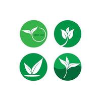 groen blad logo vector