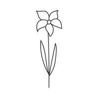 hand- getrokken illustratie van bloemen vector