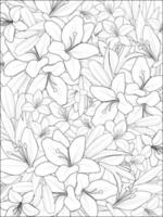 mooi botanisch bloemen patroon illustratie voor kleur boek of bladzijde, lelies, met lilium lili bloem schetsen kunst hand- getrokken boeket van bloemen geïsoleerd Aan wit achtergrond. vector