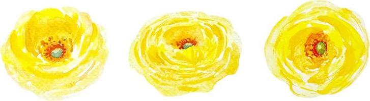 geel ranonkel reeks van bloemen waterverf geïsoleerd cliparts vector