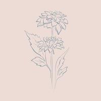 dahlia bloem lijn kunst hand- getrokken illustratie vector
