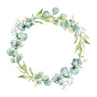 eucalyptus kader waterverf, bloemen kader, groen kader, bloemen regeling, groen bladeren samenstelling vector